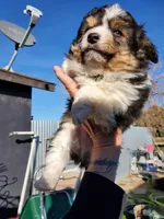 processed/7008890f-bc47-42ab-930d-87ad6563089e/listing/700ef819-67af-44ee-a514-d31b5e2cd677/b6851743-3f3b-43f5-9f2e-a0163655b725