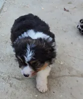 processed/7008890f-bc47-42ab-930d-87ad6563089e/listing/700ef819-67af-44ee-a514-d31b5e2cd677/db866f8e-3026-4efa-8889-7d9d5eb106fc