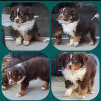 processed/7008890f-bc47-42ab-930d-87ad6563089e/listing/890cd7d7-4105-4a9e-b7f6-53446db97a3f/320ad442-12f7-49e1-a981-57a30bad4c5d