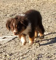 processed/7008890f-bc47-42ab-930d-87ad6563089e/listing/890cd7d7-4105-4a9e-b7f6-53446db97a3f/502bb84d-2d4b-4c3c-9217-f021ea5722e0