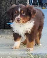 processed/7008890f-bc47-42ab-930d-87ad6563089e/listing/890cd7d7-4105-4a9e-b7f6-53446db97a3f/b22b3783-bb9b-44bd-9fd3-f11bb5184e91