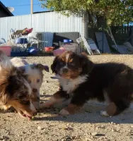 processed/7008890f-bc47-42ab-930d-87ad6563089e/listing/890cd7d7-4105-4a9e-b7f6-53446db97a3f/c87f59f5-f15d-4240-94f4-91169abaeb94