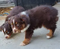 processed/7008890f-bc47-42ab-930d-87ad6563089e/listing/890cd7d7-4105-4a9e-b7f6-53446db97a3f/d65de2ca-3ca0-4e04-8833-59bff40e68a0