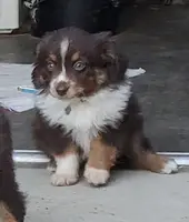 processed/7008890f-bc47-42ab-930d-87ad6563089e/listing/890cd7d7-4105-4a9e-b7f6-53446db97a3f/ea7504ac-6afb-4dd9-91fd-6b6874c88a35