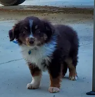 processed/7008890f-bc47-42ab-930d-87ad6563089e/listing/890cd7d7-4105-4a9e-b7f6-53446db97a3f/ee93e491-fb6c-4403-b77f-c6aa29feeffe