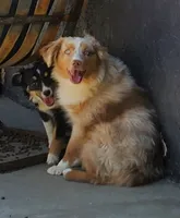 processed/7008890f-bc47-42ab-930d-87ad6563089e/listing/8d46c76d-5c0e-4361-979f-1119e14df49f/84ffa634-0dbd-4c2d-b283-721f9b922e9a