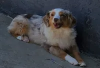 processed/7008890f-bc47-42ab-930d-87ad6563089e/listing/8d46c76d-5c0e-4361-979f-1119e14df49f/fe33c5e5-7ad6-404a-8b3a-b74b5d343113