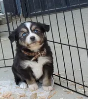 processed/7008890f-bc47-42ab-930d-87ad6563089e/listing/c0ddb557-2020-4b89-9a87-72e27ef08dd9/5ddf568f-5b82-4382-a3d1-23668708420a