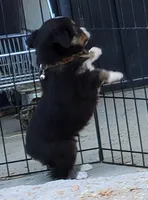 processed/7008890f-bc47-42ab-930d-87ad6563089e/listing/c0ddb557-2020-4b89-9a87-72e27ef08dd9/7f9d1258-5eb5-4bdf-b057-15cc2e282593