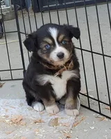 processed/7008890f-bc47-42ab-930d-87ad6563089e/listing/c0ddb557-2020-4b89-9a87-72e27ef08dd9/9113c8dd-b054-47db-ba0e-806bc40c01df