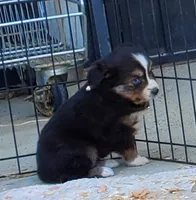 processed/7008890f-bc47-42ab-930d-87ad6563089e/listing/c0ddb557-2020-4b89-9a87-72e27ef08dd9/d8c3f63e-d8ee-48c6-8fe1-26c412238218