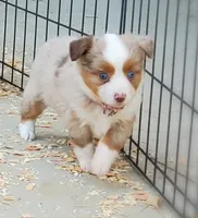 processed/7008890f-bc47-42ab-930d-87ad6563089e/listing/fc4aeac9-6dcc-47b6-baa2-eddc1f30aecd/8ef6e43f-680e-45ed-85c5-730328457cd9