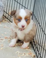 processed/7008890f-bc47-42ab-930d-87ad6563089e/listing/fc4aeac9-6dcc-47b6-baa2-eddc1f30aecd/9bcae474-a038-4be8-8465-2154391b4b4a