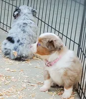 processed/7008890f-bc47-42ab-930d-87ad6563089e/listing/fc4aeac9-6dcc-47b6-baa2-eddc1f30aecd/edd20d82-cdb7-4bf2-afaa-fd22a290667b