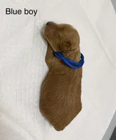 AKC TOY POODLE BLUE BOY , a male Poodle - Toy  for sale in Dallas, TX – 2 of 3