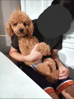 processed/7015ddc7-b2e0-401e-a005-9fa1eb3bff21/listing/1233cdd9-7859-46f2-b5e9-4f4115c0ba1b/0fc661d7-216d-4c3f-8ddc-4da47631402b