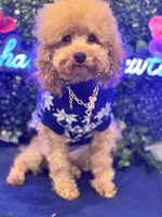 processed/7015ddc7-b2e0-401e-a005-9fa1eb3bff21/listing/1233cdd9-7859-46f2-b5e9-4f4115c0ba1b/21009894-40e9-44c5-8346-5a90754925bf