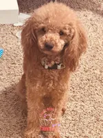 processed/7015ddc7-b2e0-401e-a005-9fa1eb3bff21/listing/1233cdd9-7859-46f2-b5e9-4f4115c0ba1b/5771b4c8-57d7-403b-9634-64e828a3690d