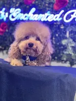 processed/7015ddc7-b2e0-401e-a005-9fa1eb3bff21/listing/1233cdd9-7859-46f2-b5e9-4f4115c0ba1b/7e846a37-db44-4ad2-ab78-6b1de7c315ad