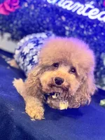 processed/7015ddc7-b2e0-401e-a005-9fa1eb3bff21/listing/1233cdd9-7859-46f2-b5e9-4f4115c0ba1b/902e3930-b2b1-4acf-9b82-2fa03af569d4