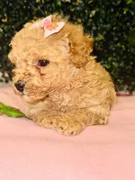 processed/7015ddc7-b2e0-401e-a005-9fa1eb3bff21/listing/55640eee-93a5-4c72-8afa-24da3ac92abf/88d41082-9b0e-402a-bc91-e4b3f5a42bc2