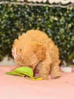 processed/7015ddc7-b2e0-401e-a005-9fa1eb3bff21/listing/55640eee-93a5-4c72-8afa-24da3ac92abf/b2cc9e9d-abfd-4319-8f84-2315a2f15974