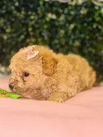 processed/7015ddc7-b2e0-401e-a005-9fa1eb3bff21/listing/55640eee-93a5-4c72-8afa-24da3ac92abf/b434865c-8b0c-4581-be7b-2179b3337b1d