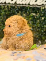 processed/7015ddc7-b2e0-401e-a005-9fa1eb3bff21/listing/81638aa0-b2f2-40ec-86f4-4133beb7d23a/8b8addc9-814f-4b2a-ab24-b5b117112fa2