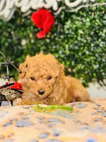 processed/7015ddc7-b2e0-401e-a005-9fa1eb3bff21/listing/a77df974-0bd7-4df9-932a-d651a86aa611/9f47adae-879b-40c9-9ef6-dc9317fe9783