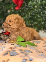 processed/7015ddc7-b2e0-401e-a005-9fa1eb3bff21/listing/a77df974-0bd7-4df9-932a-d651a86aa611/a809b227-8259-4aa6-a659-42870995ef30