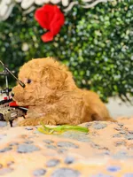 processed/7015ddc7-b2e0-401e-a005-9fa1eb3bff21/listing/a77df974-0bd7-4df9-932a-d651a86aa611/f65c8904-6417-483f-adb3-321dc3fe5507