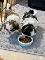 processed/70212d91-4843-4b04-bace-9ac2bfd99f0d/facility/1ddb10d8-02fa-4490-bc65-427226197bd0