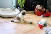 processed/70212d91-4843-4b04-bace-9ac2bfd99f0d/facility/25360143-eb7c-4053-8baa-fe9fd726252d