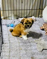 processed/70212d91-4843-4b04-bace-9ac2bfd99f0d/facility/256a52f2-17ef-4679-9f46-b7aba5245ae9