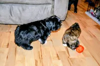 processed/70212d91-4843-4b04-bace-9ac2bfd99f0d/facility/bc5b4065-9673-4e48-88a0-c3ed58384bcb