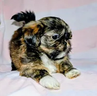 processed/70212d91-4843-4b04-bace-9ac2bfd99f0d/facility/c26f6546-1795-481d-be28-1b086d4a305f