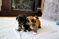 processed/70212d91-4843-4b04-bace-9ac2bfd99f0d/facility/d2a2b572-1efb-4207-b199-c37f552a5db0