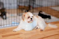 processed/70212d91-4843-4b04-bace-9ac2bfd99f0d/facility/e38f3d38-f247-4583-8934-fb82d9fe0b47