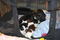 processed/70212d91-4843-4b04-bace-9ac2bfd99f0d/facility/ead9c6b5-d232-4609-b171-b68e9bda7dc0