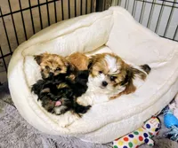 processed/70212d91-4843-4b04-bace-9ac2bfd99f0d/facility/ee35b34c-e05d-4e3d-82d9-0f75218b5752