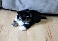 processed/70212d91-4843-4b04-bace-9ac2bfd99f0d/facility/fffe0abe-a37e-487d-92b3-f771c19fec91