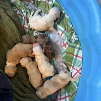 processed/7025b798-116d-494d-9cee-3bc1557006e5/facility/20b598fc-a0ee-4d08-b758-09a1bbcd4864