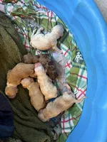 processed/7025b798-116d-494d-9cee-3bc1557006e5/facility/20b598fc-a0ee-4d08-b758-09a1bbcd4864