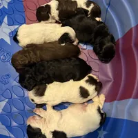 processed/7025b798-116d-494d-9cee-3bc1557006e5/facility/42549d11-8397-4e2c-bab1-8d58c7091d2c