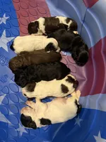 processed/7025b798-116d-494d-9cee-3bc1557006e5/facility/42549d11-8397-4e2c-bab1-8d58c7091d2c