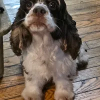 processed/7025b798-116d-494d-9cee-3bc1557006e5/facility/488eacde-e92d-4ccc-af95-4cc17592a83d