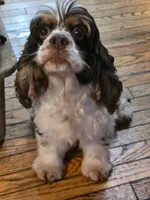 processed/7025b798-116d-494d-9cee-3bc1557006e5/facility/488eacde-e92d-4ccc-af95-4cc17592a83d