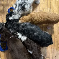 processed/7025b798-116d-494d-9cee-3bc1557006e5/facility/75c11741-95f5-496f-b312-068ae2d5ef63