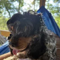 processed/7025b798-116d-494d-9cee-3bc1557006e5/facility/95fefcfd-ff09-46e4-86a6-de96ab746ba5