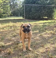 processed/702607b0-eba5-4e1c-92ae-55d7bfd63be7/listing/936b93bb-f851-4ff8-97c9-d6a94b9b2b51/2046058b-abfb-46c3-8880-edf772005603